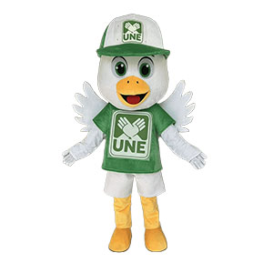 Custom pigeon mascot costume manufacturer