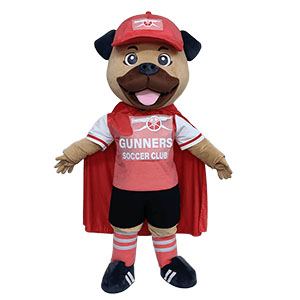 Custom dog mascot costume for your store