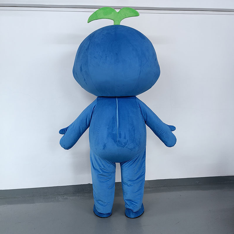 custom events mascots for your business