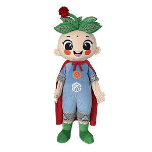 custom ginseng mascot costumes manufacturer