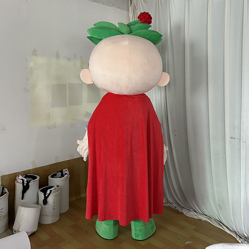 custom ginseng mascot costumes manufacturer