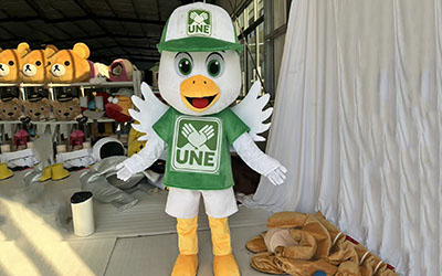 Custom pigeon mascot shipped to UK client